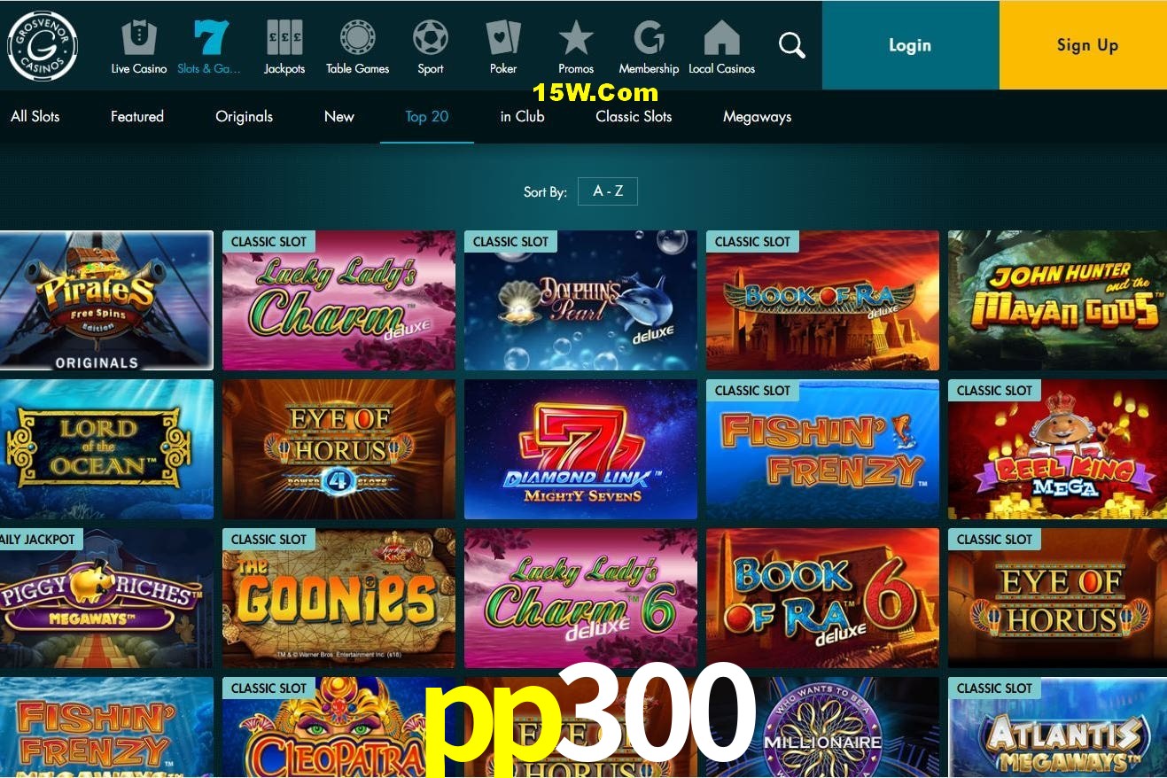 Descubra o Mundo do Cassino Online com pp300