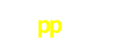 pp300